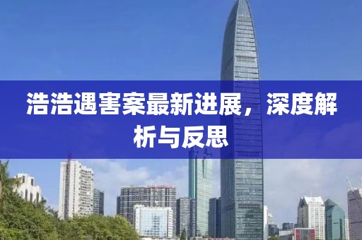 浩浩遇害案最新進展，深度解析與反思