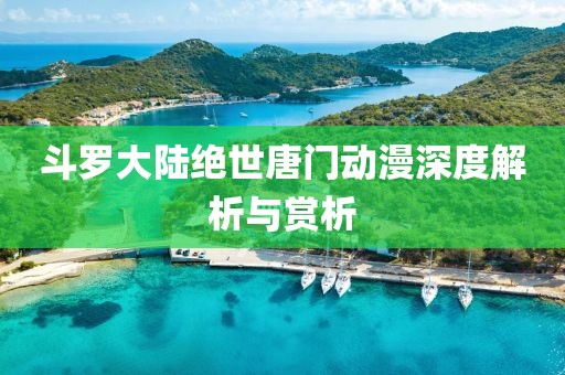 斗羅大陸絕世唐門(mén)動(dòng)漫深度解析與賞析