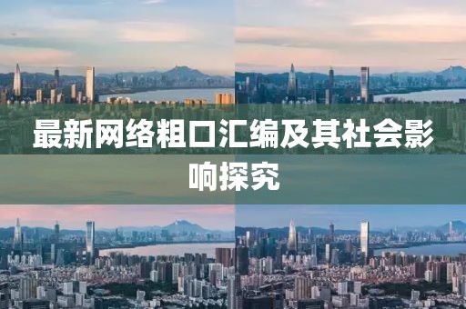 最新網(wǎng)絡(luò)粗口匯編及其社會(huì)影響探究