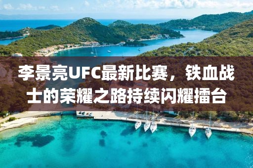 李景亮UFC最新比賽，鐵血戰(zhàn)士的榮耀之路持續(xù)閃耀擂臺