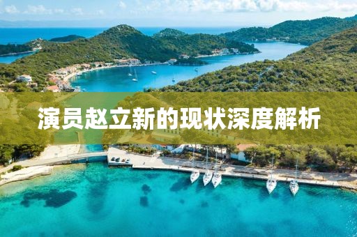 演員趙立新的現(xiàn)狀深度解析