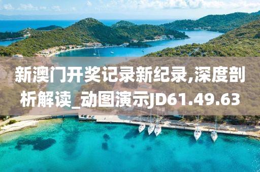 新澳門開獎(jiǎng)記錄新紀(jì)錄,深度剖析解讀_動(dòng)圖演示JD61.49.63