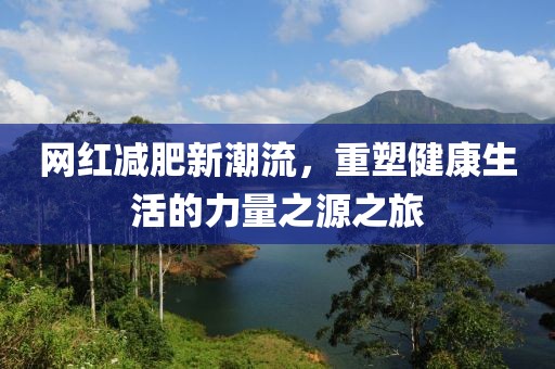 網(wǎng)紅減肥新潮流，重塑健康生活的力量之源之旅