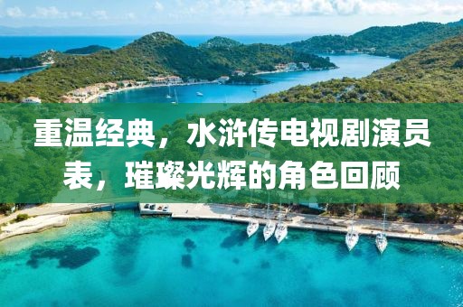 重溫經(jīng)典，水滸傳電視劇演員表，璀璨光輝的角色回顧