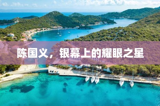 陳國義，銀幕上的耀眼之星