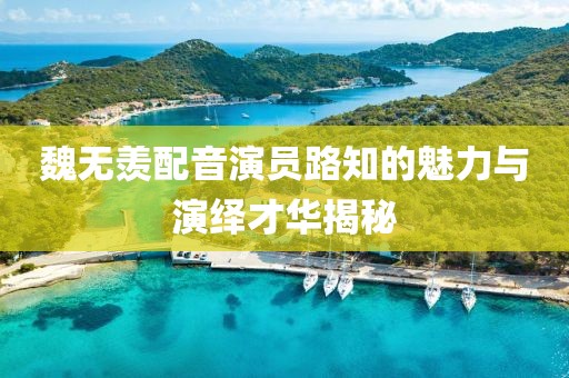 魏無羨配音演員路知的魅力與演繹才華揭秘