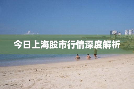 今日上海股市行情深度解析