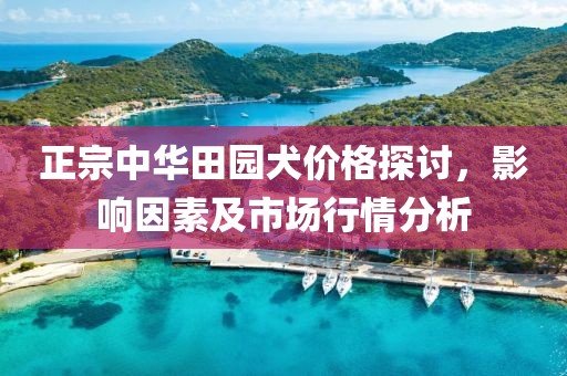 正宗中華田園犬價(jià)格探討，影響因素及市場(chǎng)行情分析