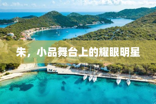 朱，小品舞臺(tái)上的耀眼明星