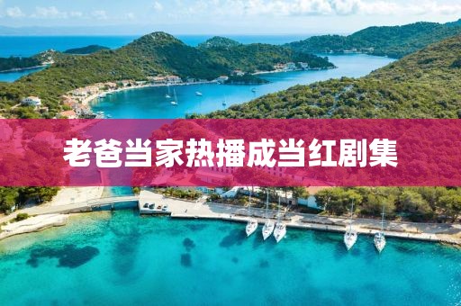 老爸當家熱播成當紅劇集
