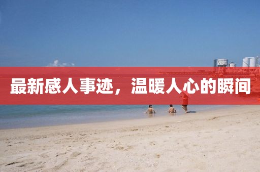 最新感人事跡，溫暖人心的瞬間