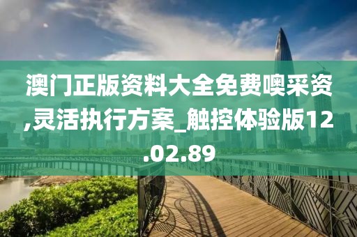 澳門正版資料大全免費噢采資,靈活執(zhí)行方案_觸控體驗版12.02.89