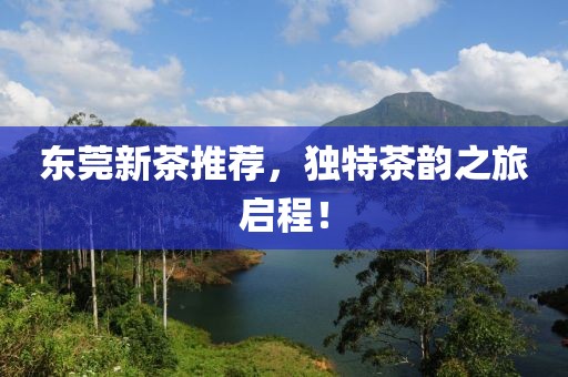 東莞新茶推薦，獨特茶韻之旅啟程！
