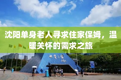 沈陽單身老人尋求住家保姆，溫暖關(guān)懷的需求之旅