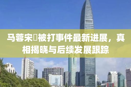 馬蓉宋喆被打事件最新進(jìn)展，真相揭曉與后續(xù)發(fā)展跟蹤