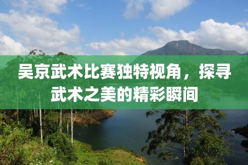 吳京武術(shù)比賽獨(dú)特視角，探尋武術(shù)之美的精彩瞬間