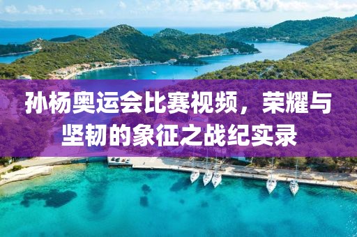 孫楊奧運會比賽視頻，榮耀與堅韌的象征之戰(zhàn)紀實錄