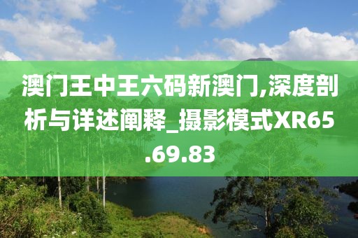 澳門王中王六碼新澳門,深度剖析與詳述闡釋_攝影模式XR65.69.83