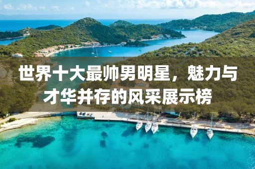 世界十大最帥男明星，魅力與才華并存的風(fēng)采展示榜