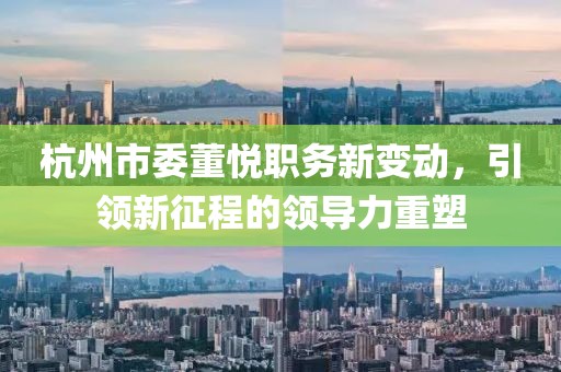 杭州市委董悅職務(wù)新變動(dòng)，引領(lǐng)新征程的領(lǐng)導(dǎo)力重塑