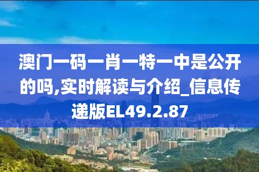 澳門(mén)一碼一肖一特一中是公開(kāi)的嗎,實(shí)時(shí)解讀與介紹_信息傳遞版EL49.2.87