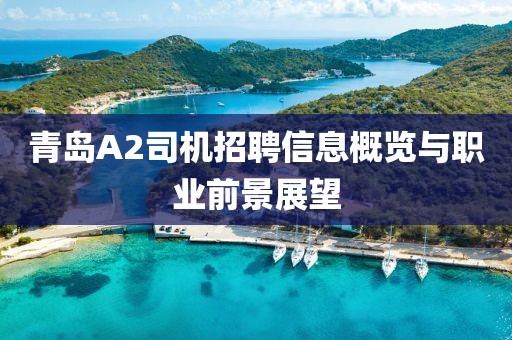 青島A2司機(jī)招聘信息概覽與職業(yè)前景展望