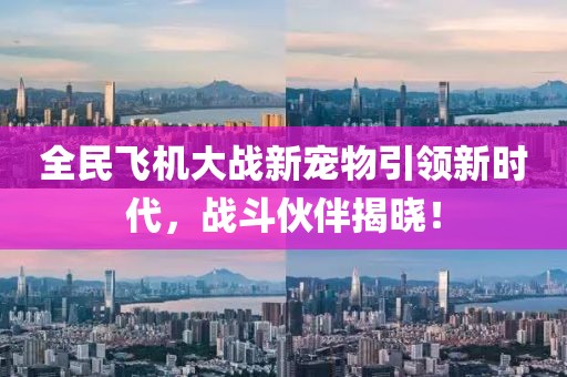 全民飛機(jī)大戰(zhàn)新寵物引領(lǐng)新時(shí)代，戰(zhàn)斗伙伴揭曉！