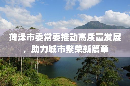 菏澤市委常委推動(dòng)高質(zhì)量發(fā)展，助力城市繁榮新篇章