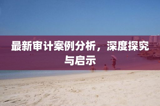 最新審計(jì)案例分析，深度探究與啟示