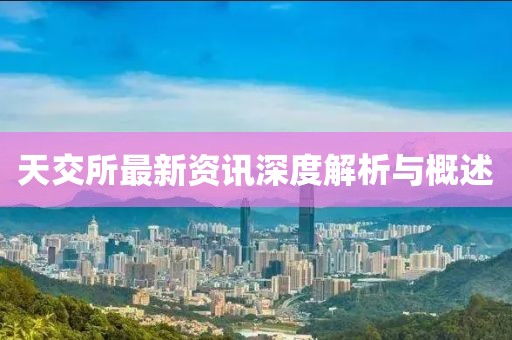 天交所最新資訊深度解析與概述