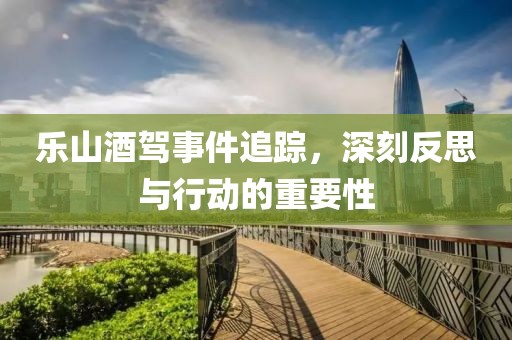樂(lè)山酒駕事件追蹤，深刻反思與行動(dòng)的重要性