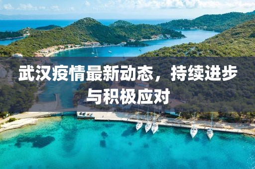 武漢疫情最新動態(tài)，持續(xù)進(jìn)步與積極應(yīng)對