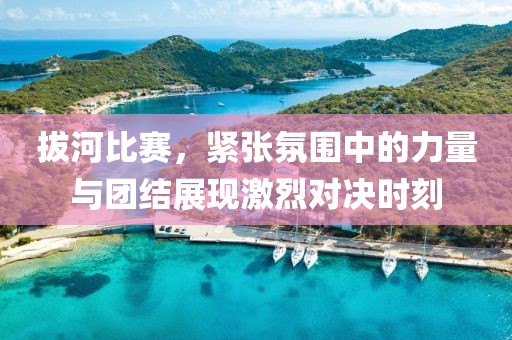 拔河比賽，緊張氛圍中的力量與團結(jié)展現(xiàn)激烈對決時刻