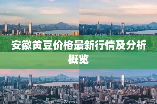 安徽黃豆價(jià)格最新行情及分析概覽