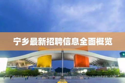 寧鄉(xiāng)最新招聘信息全面概覽