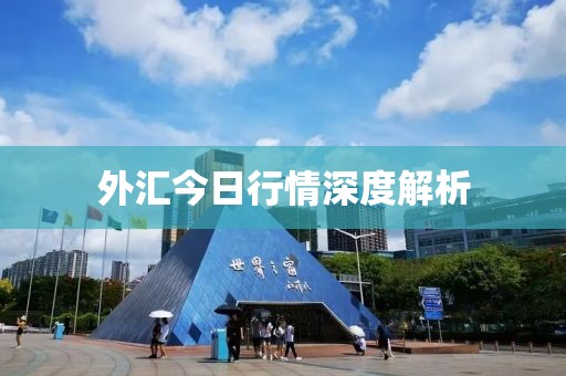 外匯今日行情深度解析