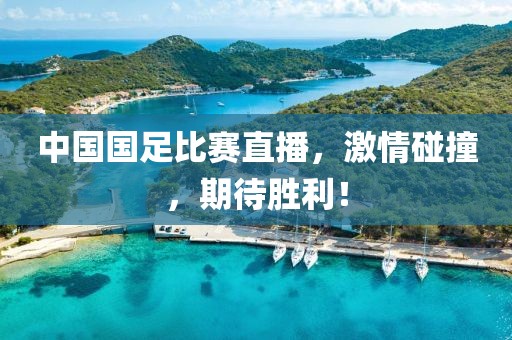 中國國足比賽直播，激情碰撞，期待勝利！