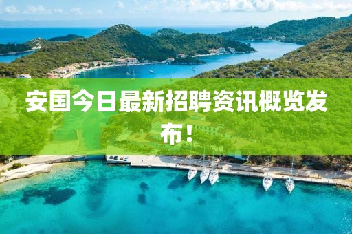 安國今日最新招聘資訊概覽發(fā)布！