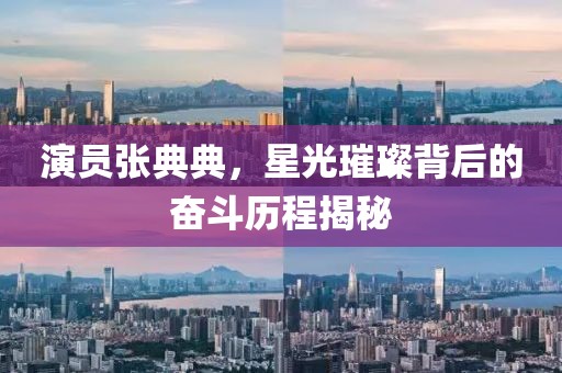 演員張典典，星光璀璨背后的奮斗歷程揭秘