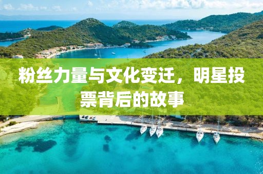 粉絲力量與文化變遷，明星投票背后的故事