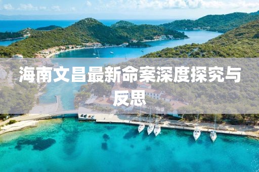 海南文昌最新命案深度探究與反思