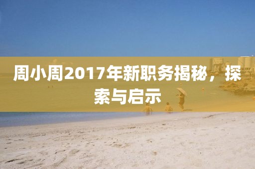 周小周2017年新職務揭秘，探索與啟示