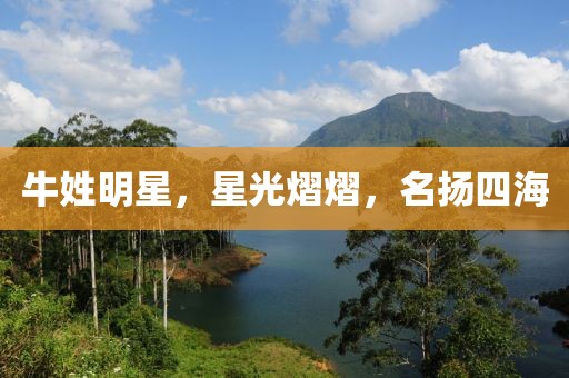 牛姓明星，星光熠熠，名揚四海