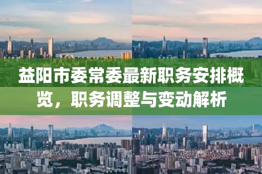 益陽市委常委最新職務(wù)安排概覽，職務(wù)調(diào)整與變動解析
