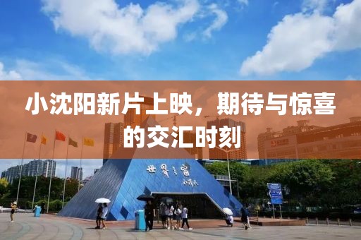 小沈陽新片上映，期待與驚喜的交匯時刻