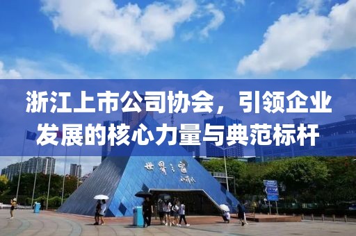 浙江上市公司協(xié)會(huì)，引領(lǐng)企業(yè)發(fā)展的核心力量與典范標(biāo)桿