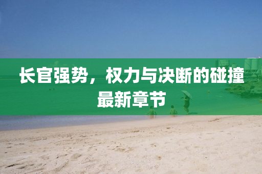 長官強(qiáng)勢，權(quán)力與決斷的碰撞最新章節(jié)