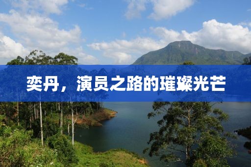 奕丹，演員之路的璀璨光芒