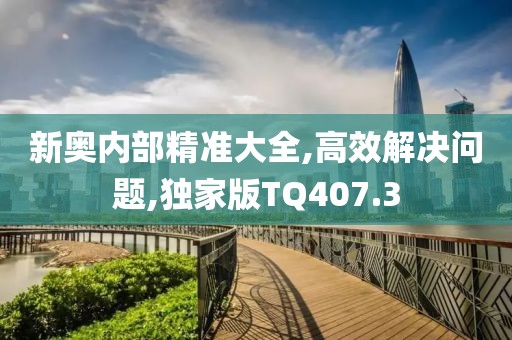 新奧內(nèi)部精準大全,高效解決問題,獨家版TQ407.3