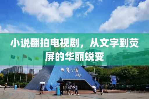 小說(shuō)翻拍電視劇，從文字到熒屏的華麗蛻變